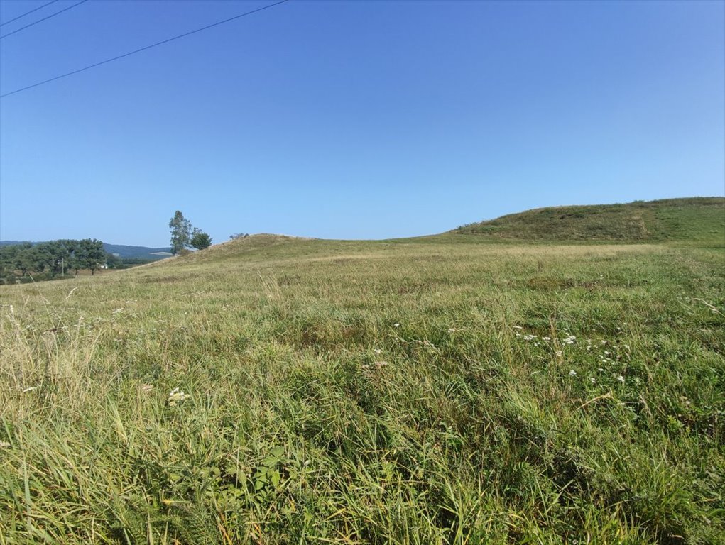 Działka budowlana na sprzedaż Marciszów  2 991m2 Foto 2