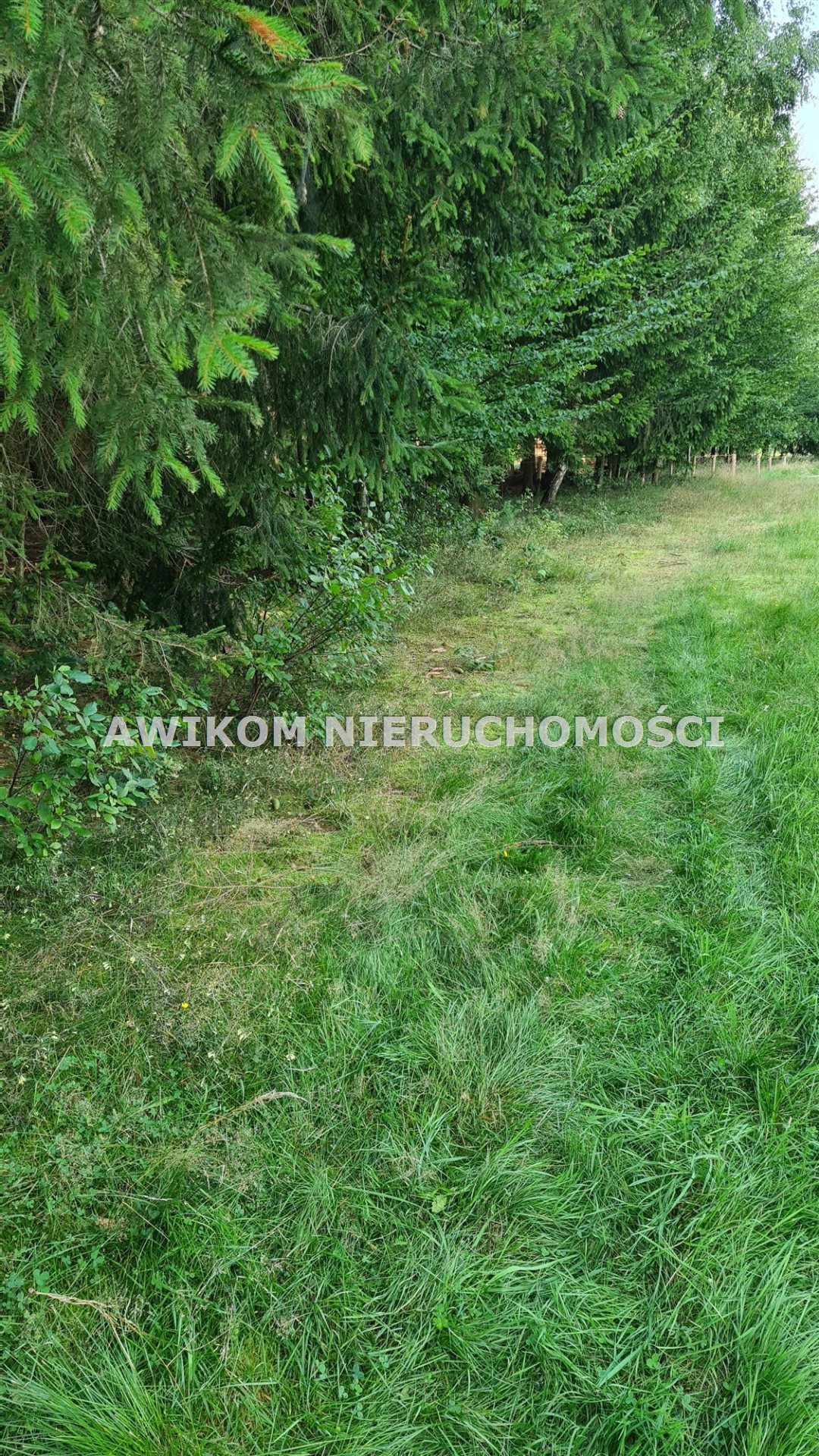 Działka budowlana na sprzedaż Nadarzyn, Rozalin  5 580m2 Foto 6