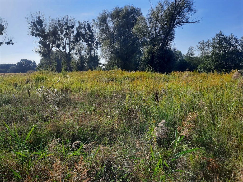 Działka budowlana na sprzedaż Krobia  1 506m2 Foto 10