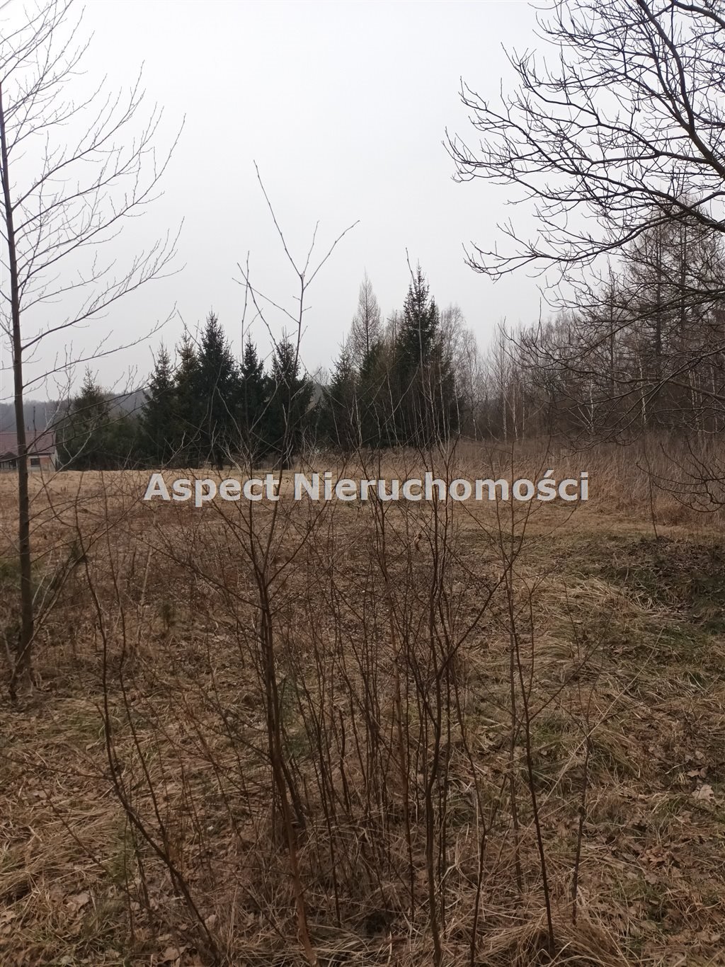 Działka budowlana na sprzedaż Rybnik, Popielów  2 534m2 Foto 1