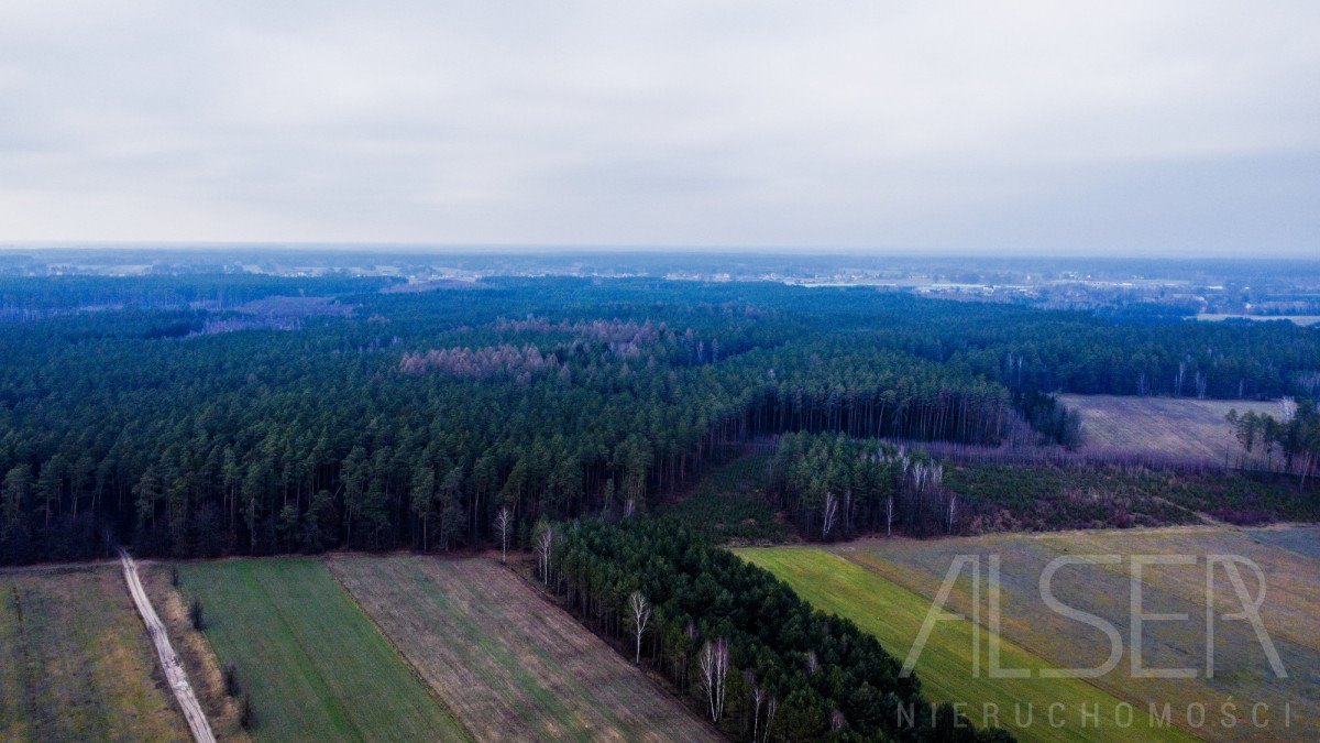 Działka rolna na sprzedaż Laskowizna  15 000m2 Foto 6