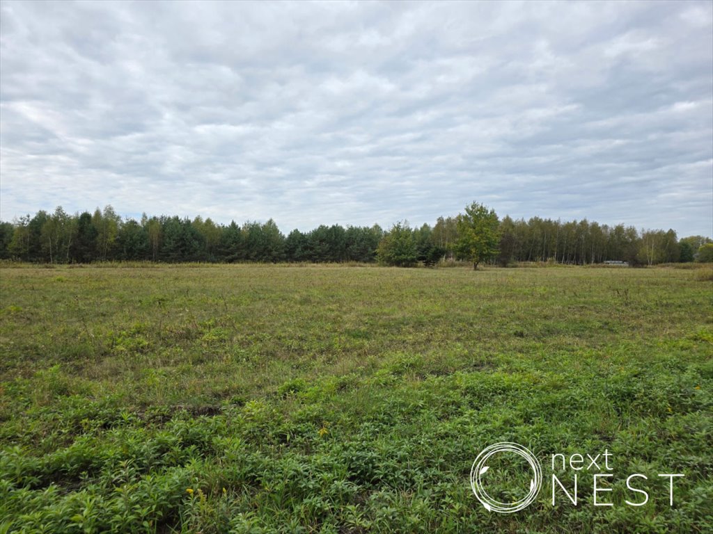 Działka budowlana na sprzedaż Jaroszowa Wola, Leśna  2 200m2 Foto 7