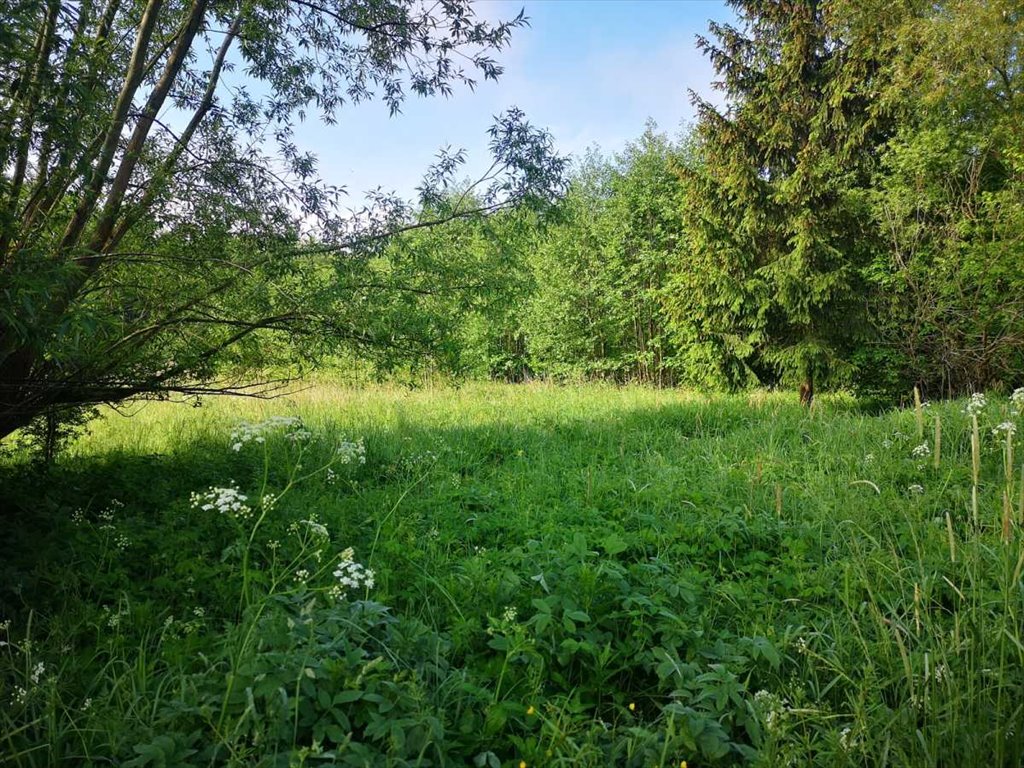 Działka inna na sprzedaż Bystrzyca Kłodzka, Gorzanów  86m2 Foto 5