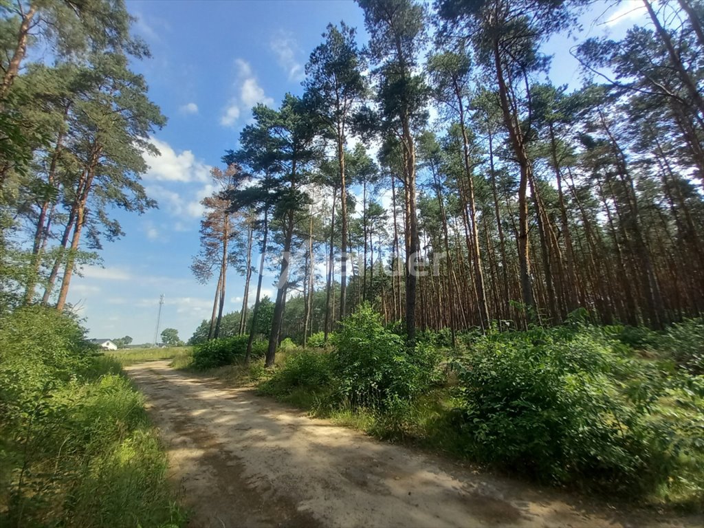 Działka leśna na sprzedaż Mierzynek, Ratownicza  789m2 Foto 2