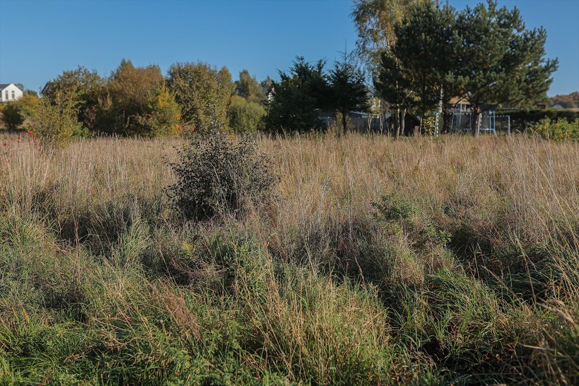 Działka budowlana na sprzedaż Gowino  973m2 Foto 9