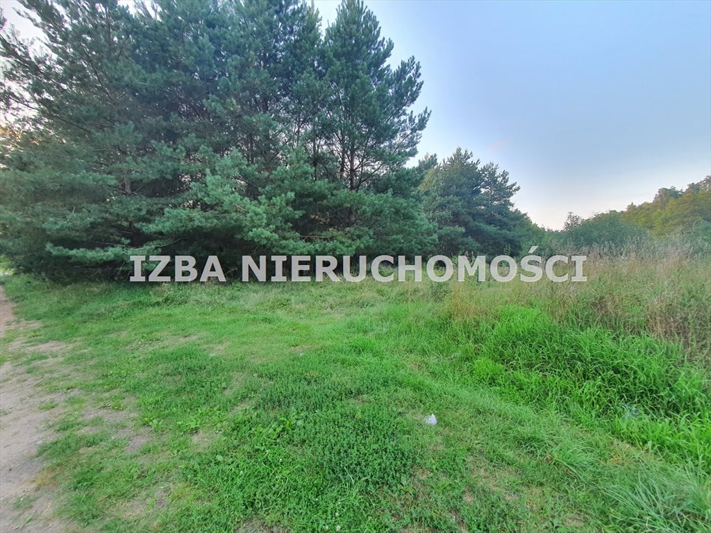 Działka rekreacyjna na sprzedaż Barany  3 001m2 Foto 11