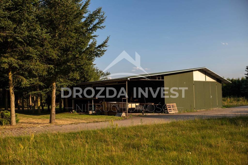 Działka budowlana na sprzedaż Nowe Krasnodęby  22 369m2 Foto 6