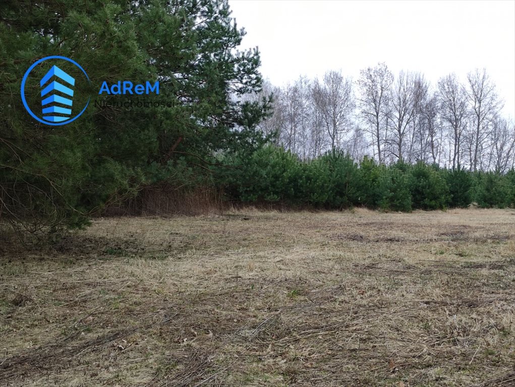 Działka budowlana na sprzedaż Nowy Prażmów  28 600m2 Foto 8