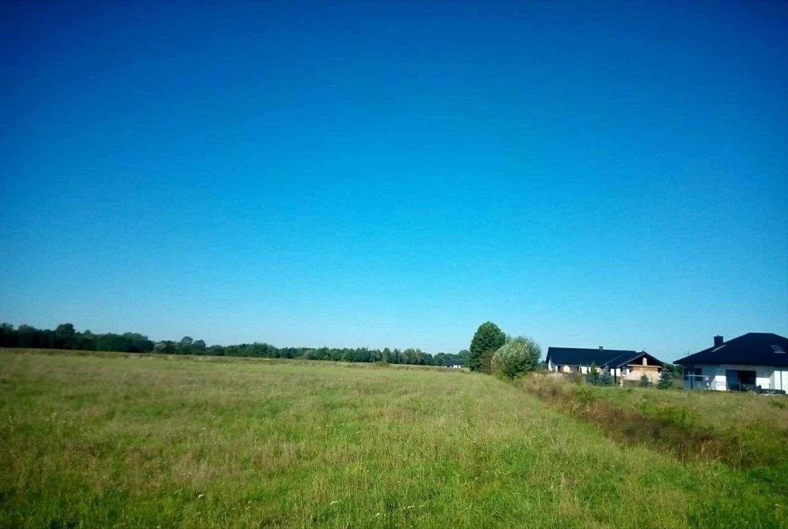 Działka inna na sprzedaż Rytwiany  5 900m2 Foto 1