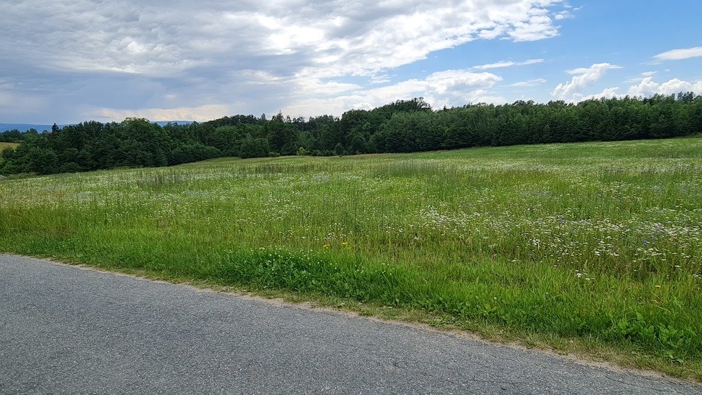 Działka inna na sprzedaż Dębowina  19 200m2 Foto 4