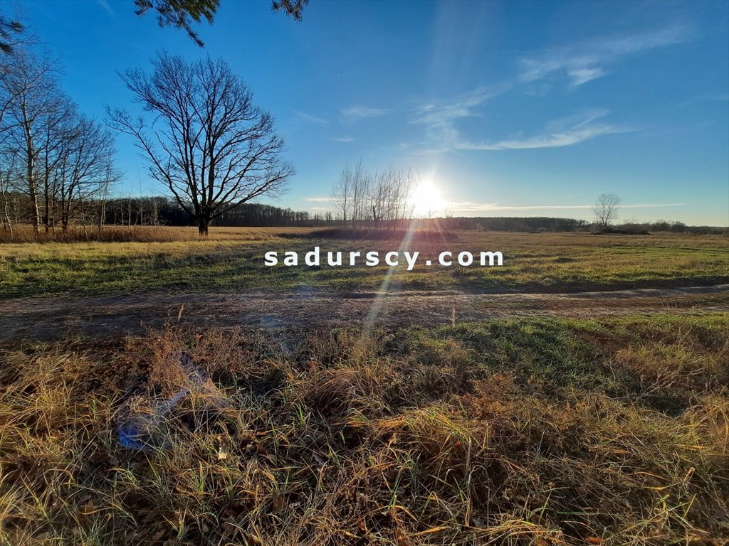 Działka budowlana na sprzedaż Baniocha  3 539m2 Foto 7