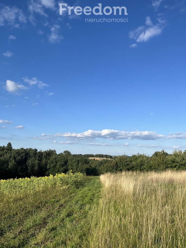 Działka budowlana na sprzedaż Raciechowice  4 600m2 Foto 3