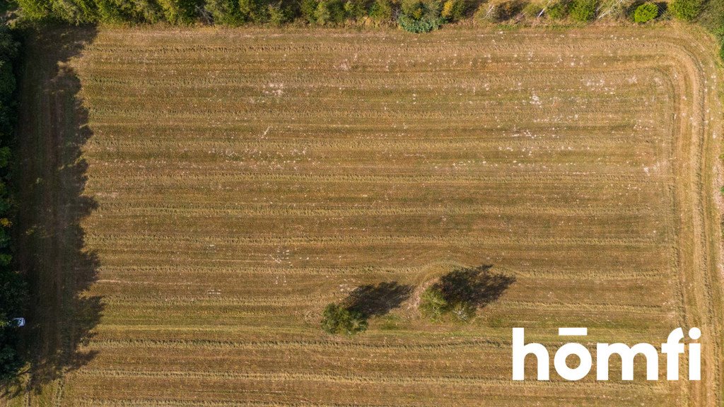 Działka budowlana na sprzedaż Makowiec, Gajowa  10 500m2 Foto 9