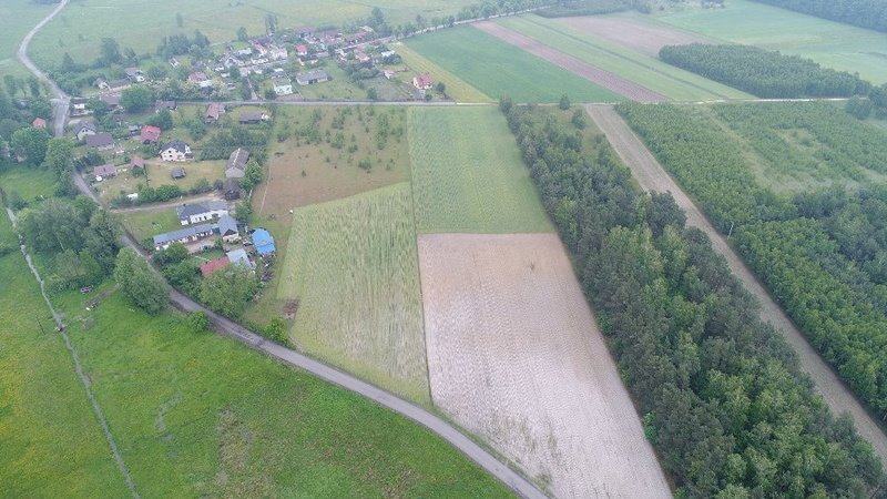 Działka budowlana na sprzedaż Smyków, Prosta  19 000m2 Foto 4