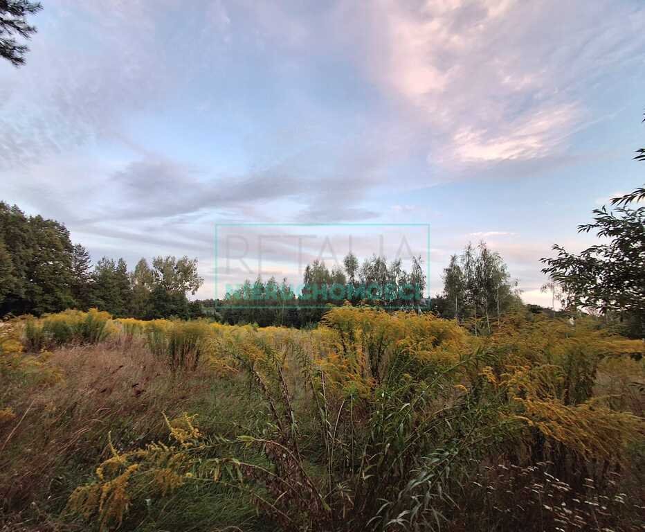 Działka budowlana na sprzedaż Owczarnia  3 400m2 Foto 1