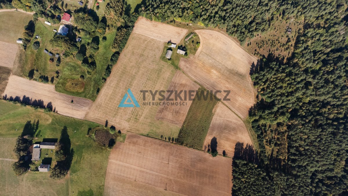 Działka rolna na sprzedaż Załęże, Kasztanowa  3 000m2 Foto 3