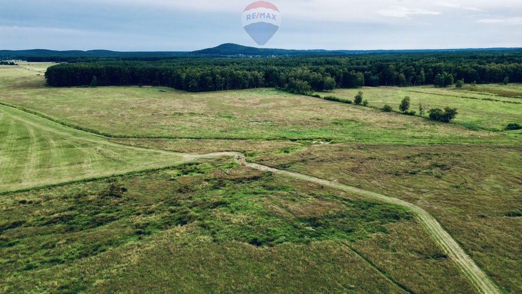 Działka inna na sprzedaż Smołdziński Las  81 864m2 Foto 5