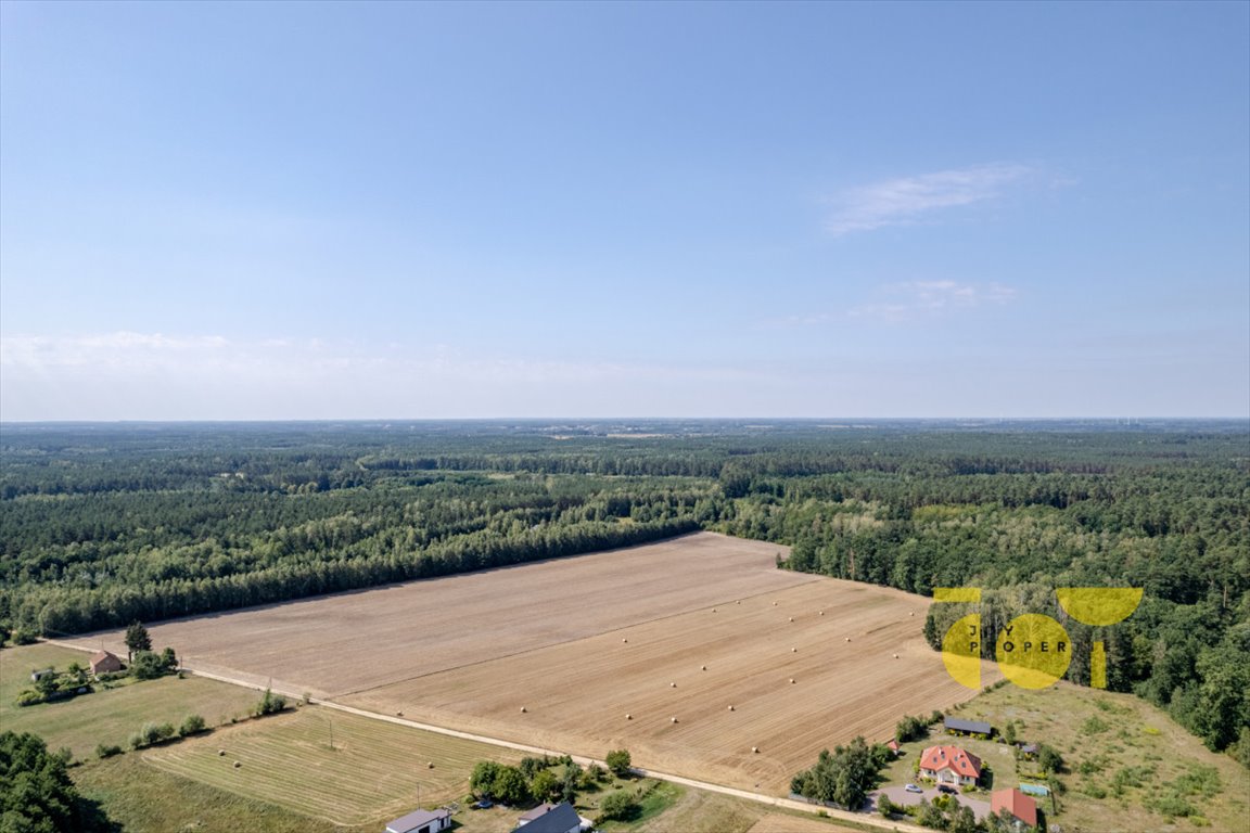 Działka rolna na sprzedaż Przepitki  9 000m2 Foto 7