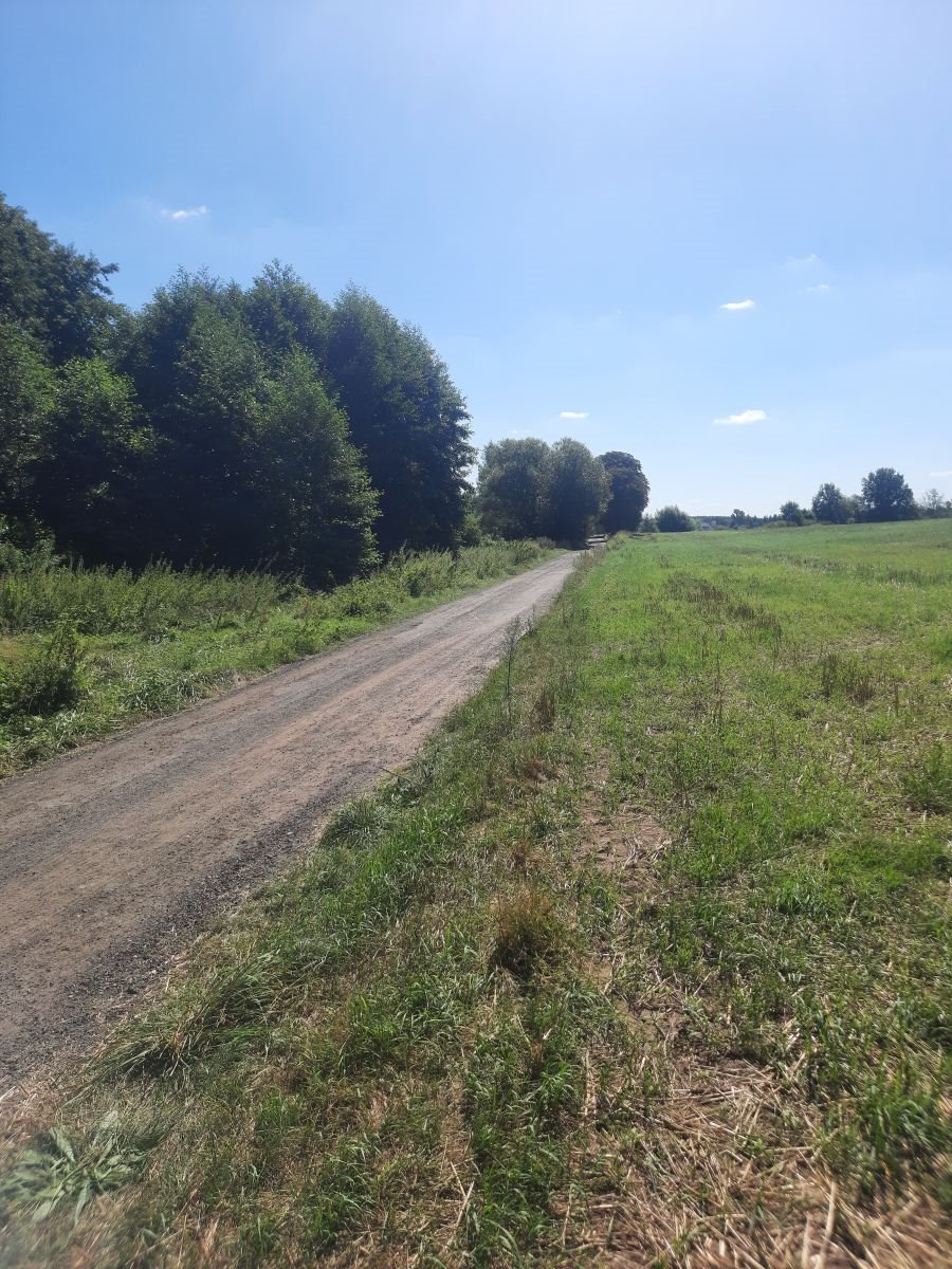 Działka budowlana na sprzedaż Poznań  1 000m2 Foto 3