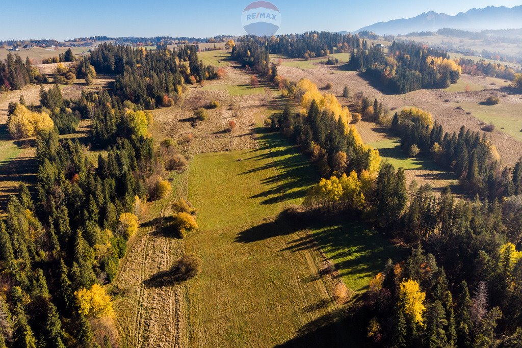 Działka rolna na sprzedaż Biały Dunajec  2 711m2 Foto 3