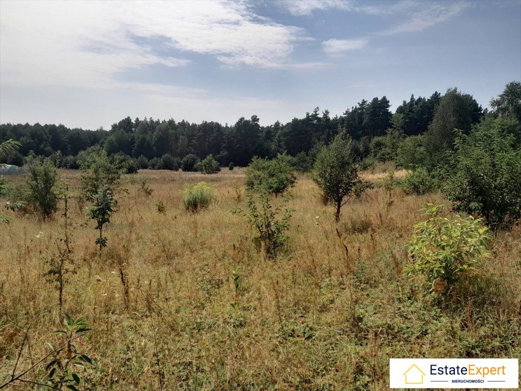 Działka budowlana na sprzedaż Bieleckie Młyny, Orzechowa  1 500m2 Foto 6