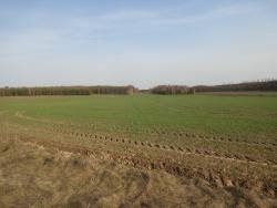 Działka rolna na sprzedaż Nowinka  13 100m2 Foto 4