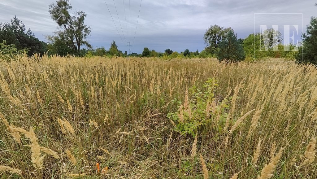 Działka rolna na sprzedaż Rurzyca  1 117m2 Foto 3