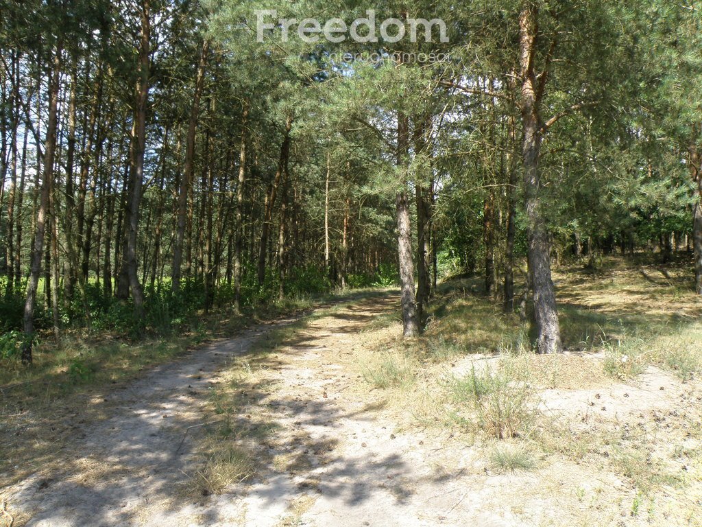 Działka budowlana na sprzedaż Czarne Błoto  1 769m2 Foto 7