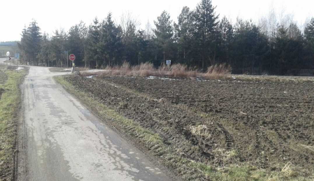 Działka inna na sprzedaż Łagiewniki, Sieniawka  3 500m2 Foto 2