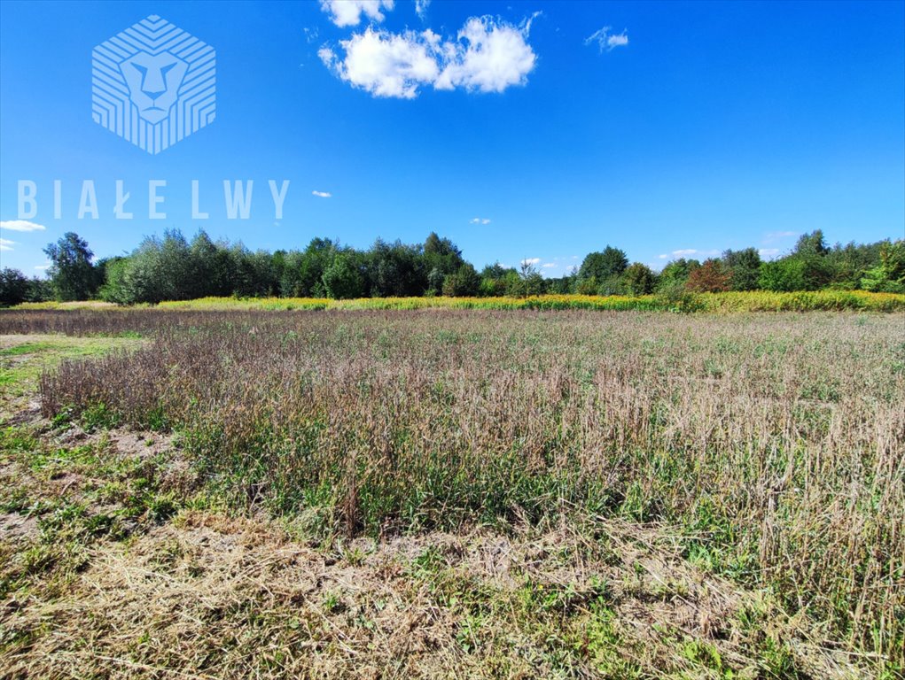 Działka budowlana na sprzedaż Stare Babice, Izabelińska  800m2 Foto 1