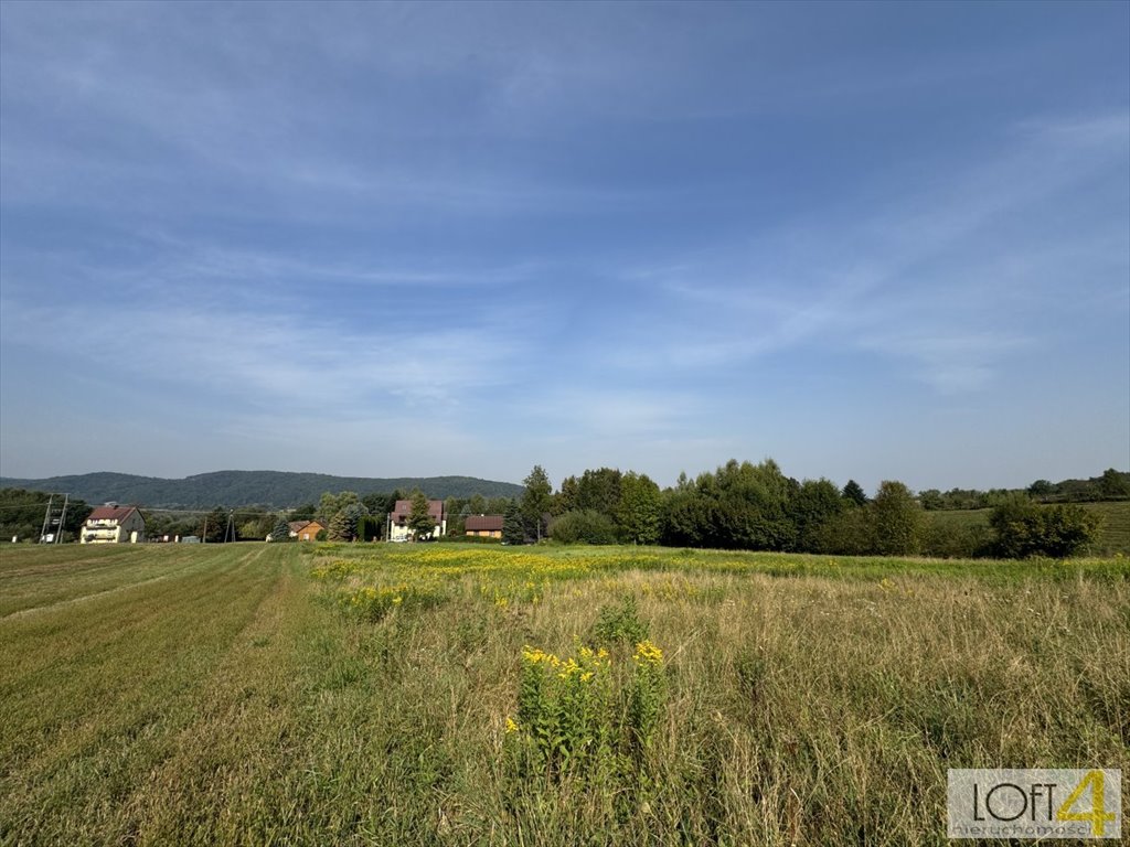 Działka inna na sprzedaż Dąbrówka Szczepanowska  5 600m2 Foto 7