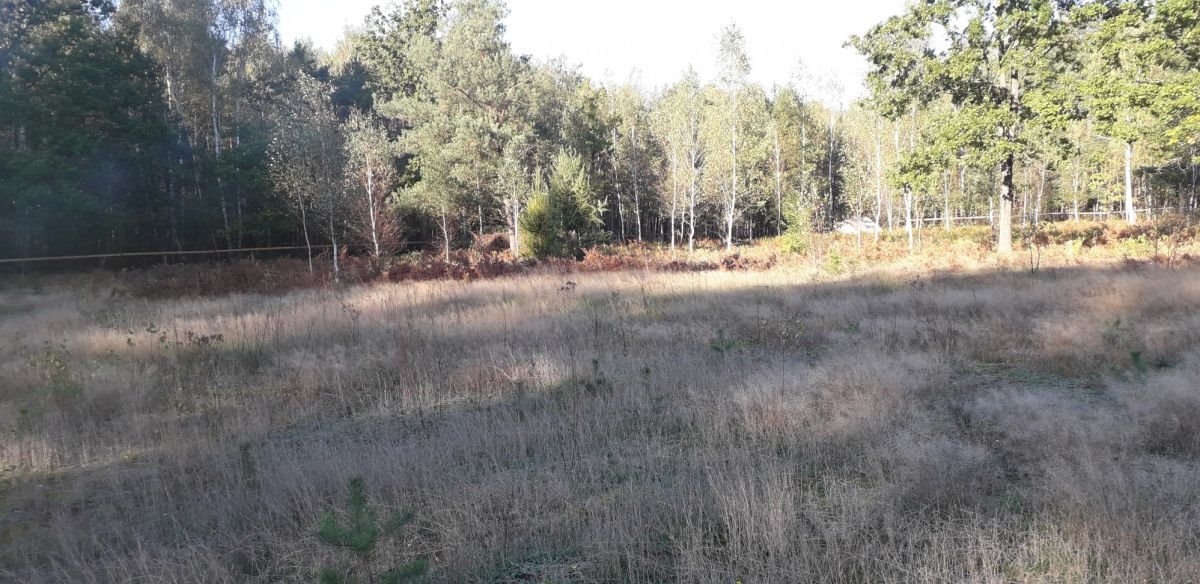 Działka gospodarstwo rolne na sprzedaż Pańki  21 000m2 Foto 2