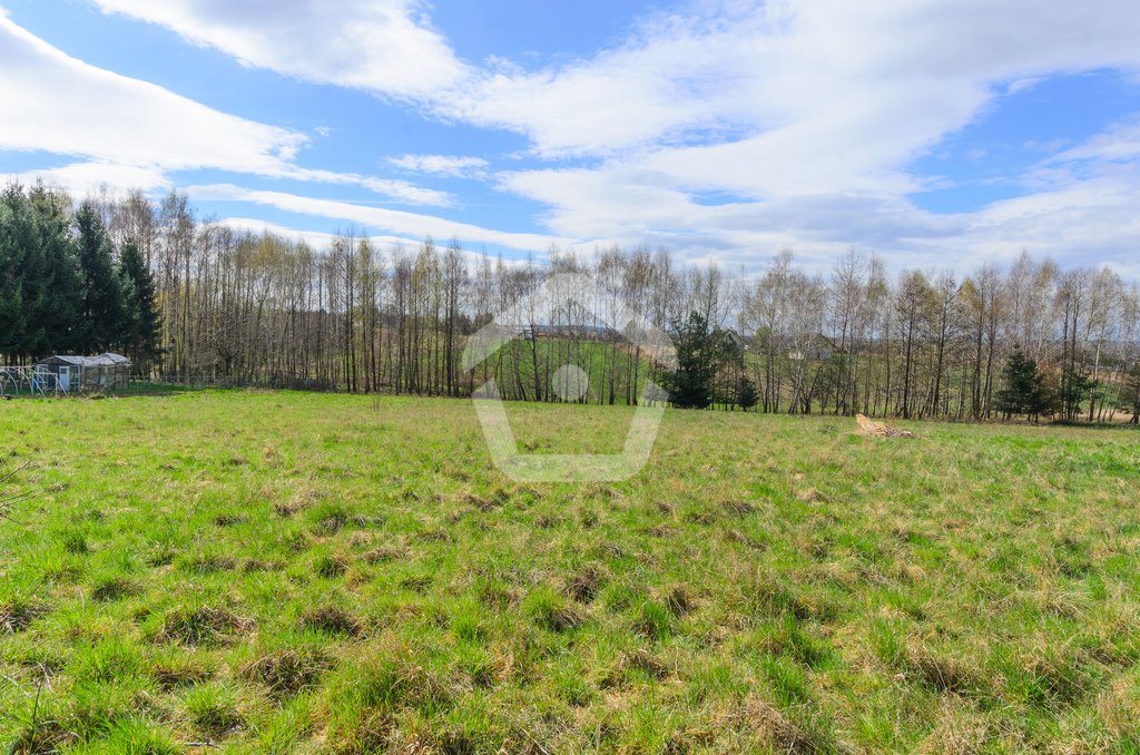 Działka budowlana na sprzedaż Rzeszów, Budziwój, Karmelicka  4 700m2 Foto 1