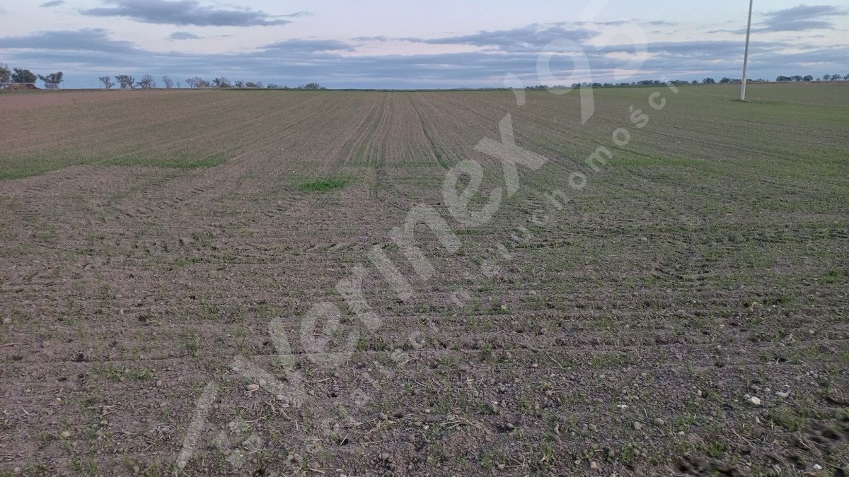Działka budowlana na sprzedaż Jawor  2 375m2 Foto 3