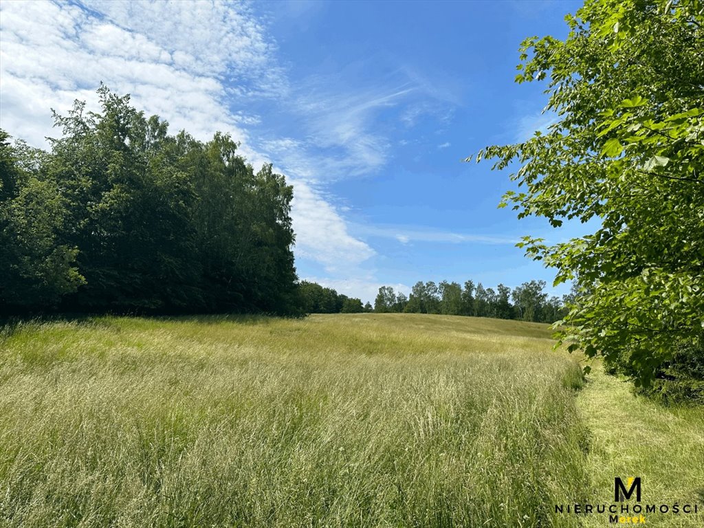 Działka leśna na sprzedaż Sianożęty, Kukinka  119 847m2 Foto 2