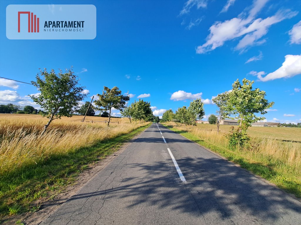 Działka budowlana na sprzedaż Odry  5 000m2 Foto 4