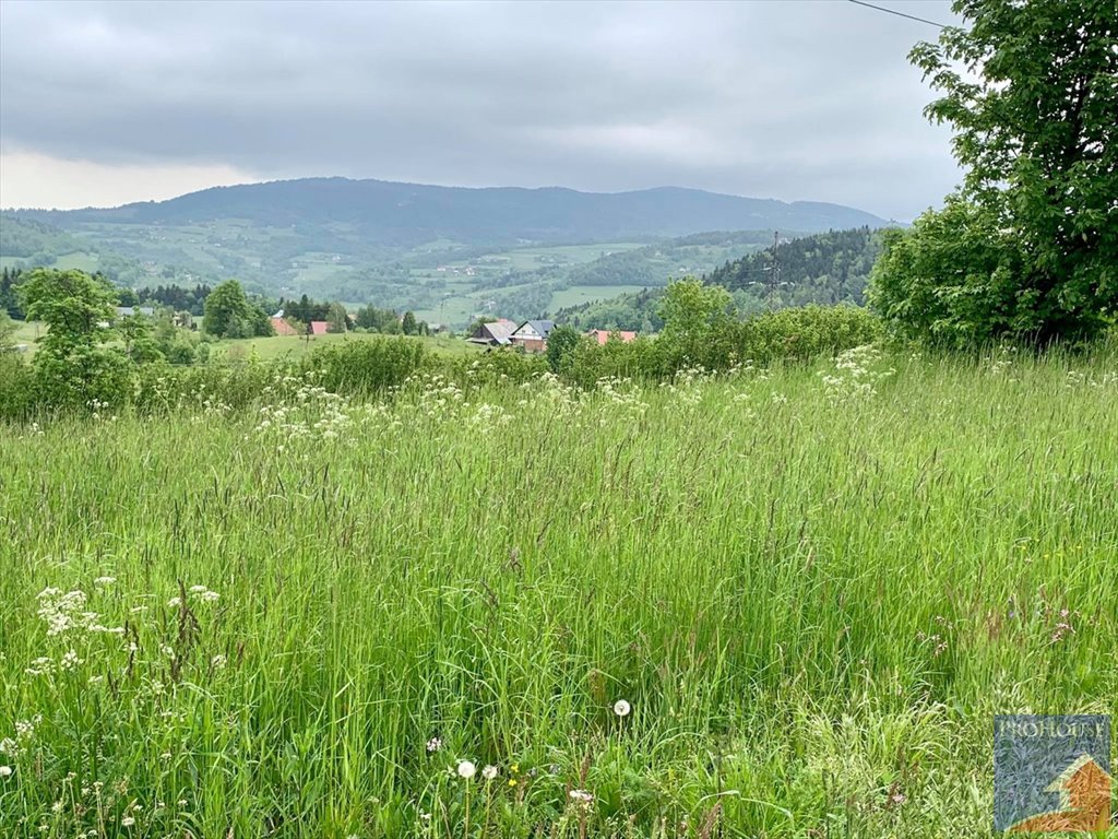 Działka budowlana 1700 m² w Tymbarku, MN, dostęp do drogi Tymbark  1 700m2 Foto 1