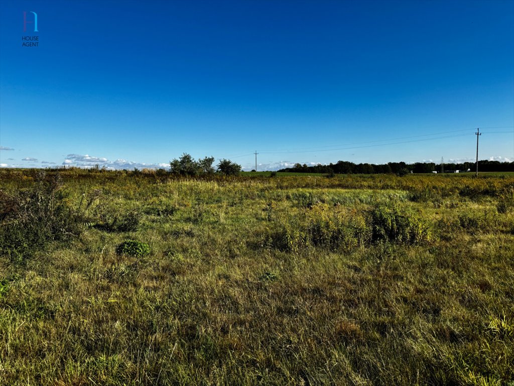 Działka rolna na sprzedaż Janów  2 997m2 Foto 5