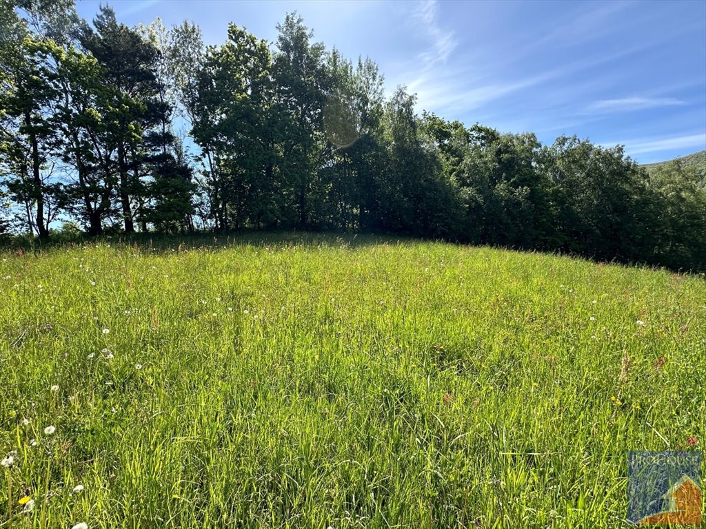 Działka budowlana na sprzedaż Skrzydlna  7 400m2 Foto 12