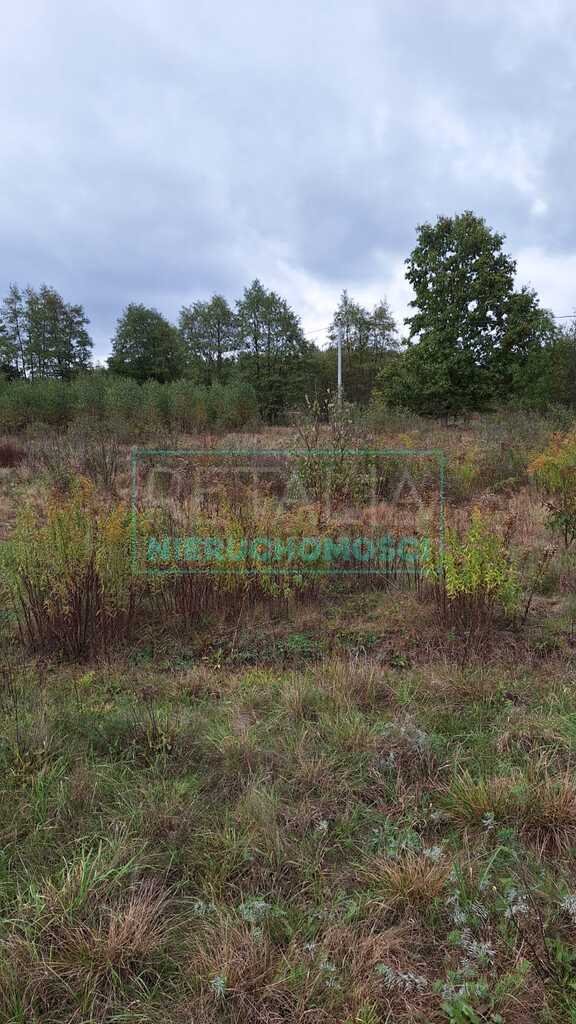 Działka budowlana na sprzedaż Bieganów  37 900m2 Foto 7