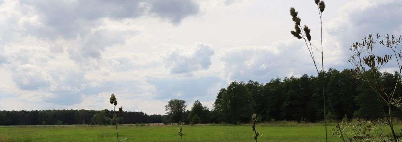 Działka siedliskowa na sprzedaż Czepielin-Kolonia  1 650m2 Foto 2