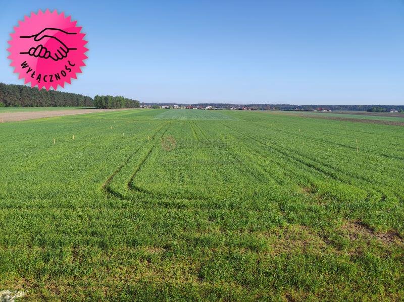 Sprzedam działki budowlane w Zmyślonej 880 m² z decyzją o zabudowie Galewice  880m2 Foto 1