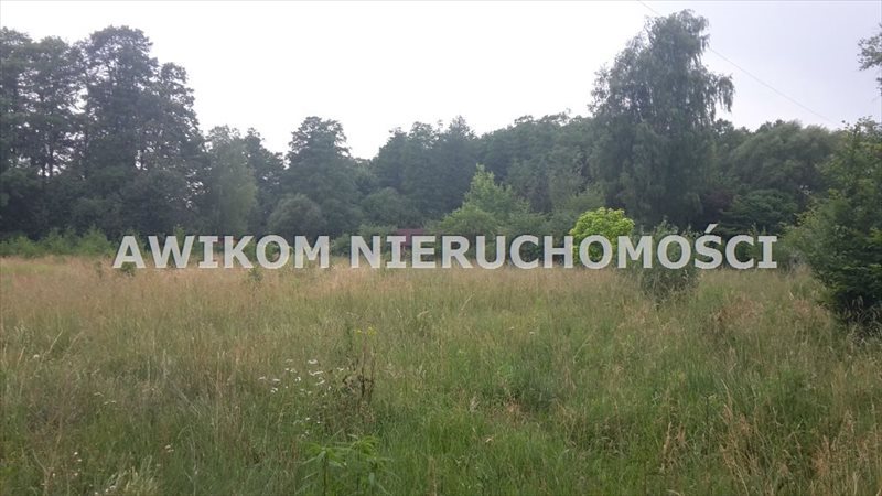 Działka budowlana na sprzedaż Radziejowice, Adamów-Wieś  2 100m2 Foto 6