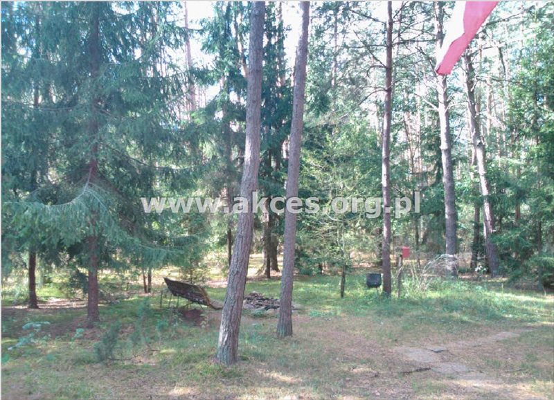 Działka inna na sprzedaż Darnowo, Droga Leśna 35 800m2 Foto 1 Działka inna na sprzedaż Darnowo, Droga Leśna 35 800m2 Foto 1