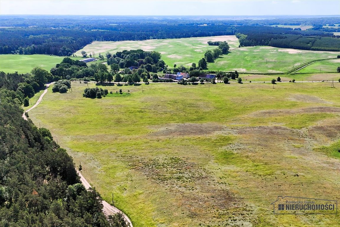 Działka siedliskowa na sprzedaż Dębowo  34 908m2 Foto 4