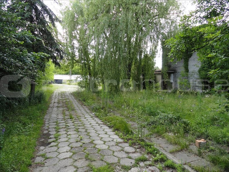 Działka inna pod dzierżawę Pabianice, Centrum 3 600m2 Foto 1 Działka inna pod dzierżawę Pabianice, Centrum 3 600m2 Foto 1