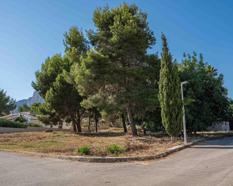 Działka budowlana na sprzedaż Hiszpania, Javea, Hiszpania, Javea  1 500m2 Foto 4