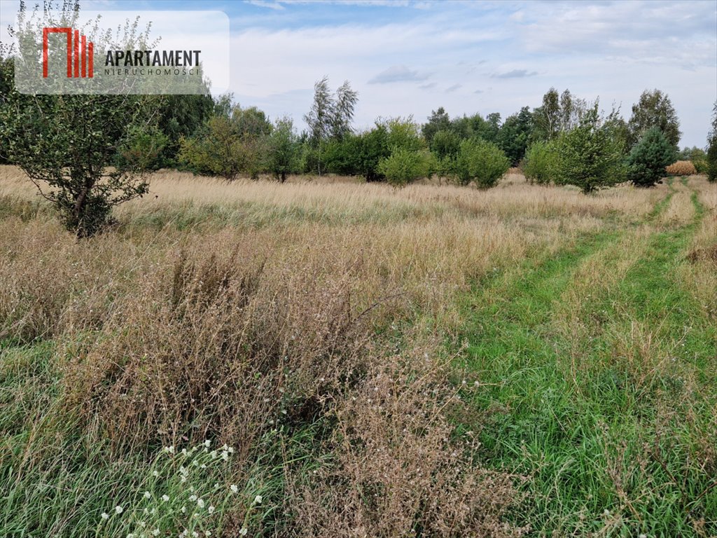 Działka budowlana na sprzedaż Rogowo  2 500m2 Foto 3