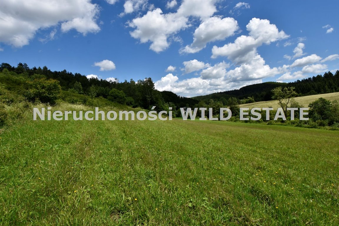 Działka rolna na sprzedaż Solina, Berezka  9 900m2 Foto 2
