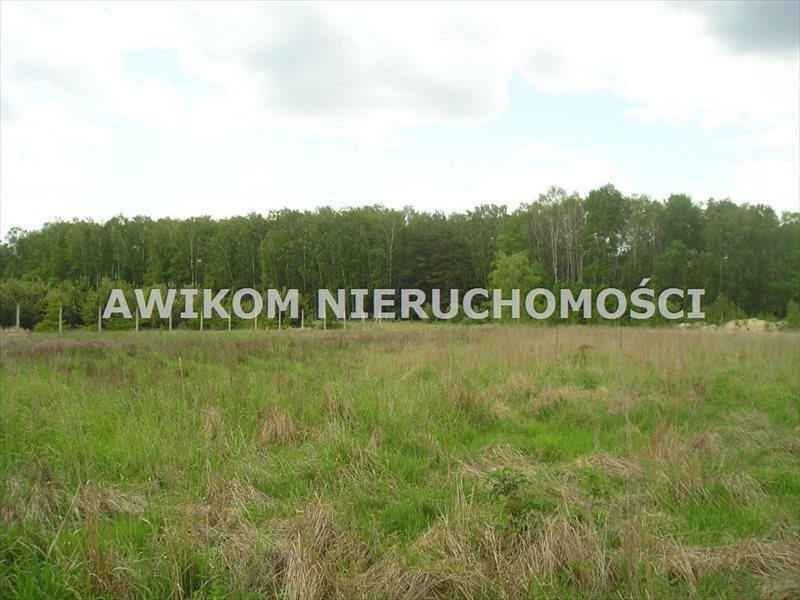 Działka rekreacyjna na sprzedaż Joachimów-Mogiły 3 000m2 Foto 1 Działka rekreacyjna na sprzedaż Joachimów-Mogiły 3 000m2 Foto 1